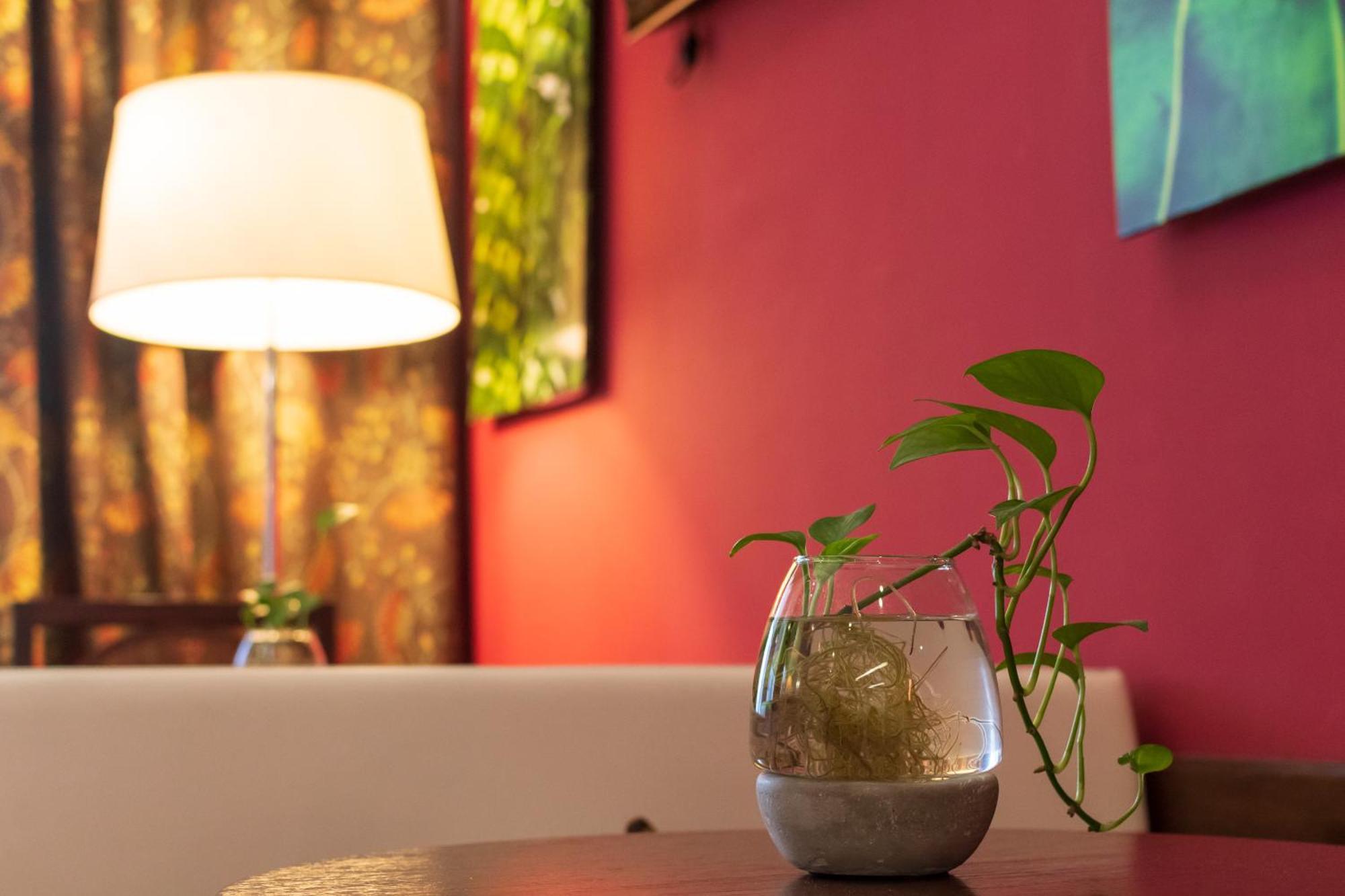 1412 Hotel Boutique ロサリオ エクステリア 写真